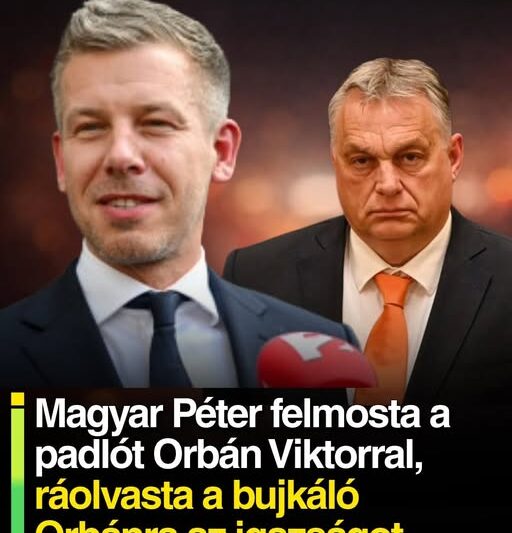 Magyar Péter felmosta a padlót Orbán Viktorral, ráolvasta a bujkáló Orbánra az igazságot