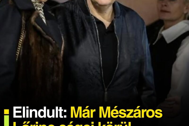 Elindult: Már Mészáros Lőrinc cégei körül vizsgálódnak a nyomozók