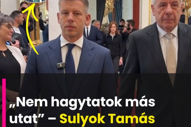 Sulyok Tamás újra megszólalt: Magyar Péter nem hagyott más utat neki
