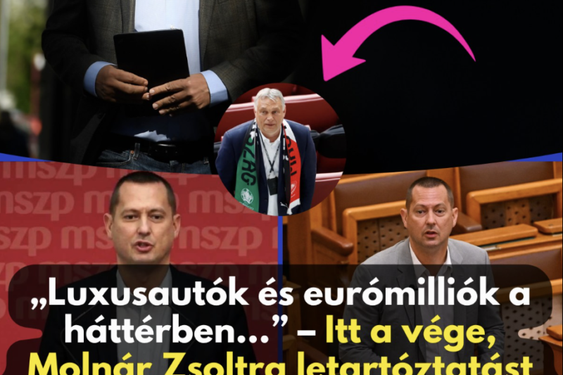 „Luxusautók és eurómilliók a háttérben…” – Itt a vége, Molnár Zsoltra letartóztatást kért az ügyészség a gigantikus botrány miatt